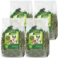 MultiFit Grain Free Kräuter 4er Set Brennnessel 4x70 g MultiFit Grain Free Kräuter 4er Set Brennnessel 4x70 g von MultiFit