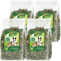 MultiFit Grain Free Kräuter 4er Set Pfefferminze 4x100 g MultiFit Grain Free Kräuter 4er Set Pfefferminze 4x100 g von MultiFit