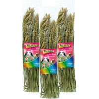 MultiFit Nagersnack Weizenähren 3x120g MultiFit Nagersnack Weizenähren 3x120g von MultiFit