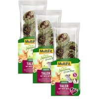 MultiFit Nature Grainfree Taler 3x100 g mit Rote Bete von MultiFit