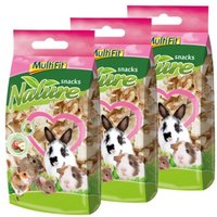MultiFit Nature snacks Apfelchips 3x70 g MultiFit Nature snacks Apfelchips 3x70 g von MultiFit