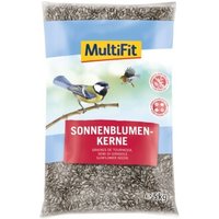 MultiFit Sonnenblumenkerne 5 kg MultiFit Sonnenblumenkerne 5 kg von MultiFit