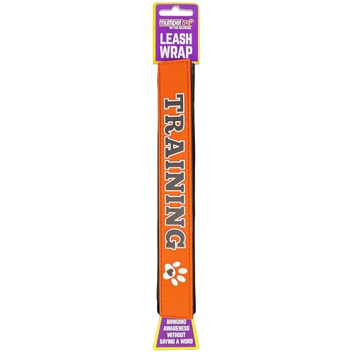 Multi Pet Hundeleine - Training, Orange, 1 Zoll, Doppelseitig, Bewusstsein bringen, Auffällige Farben, Einheitsgröße von Multi Pet