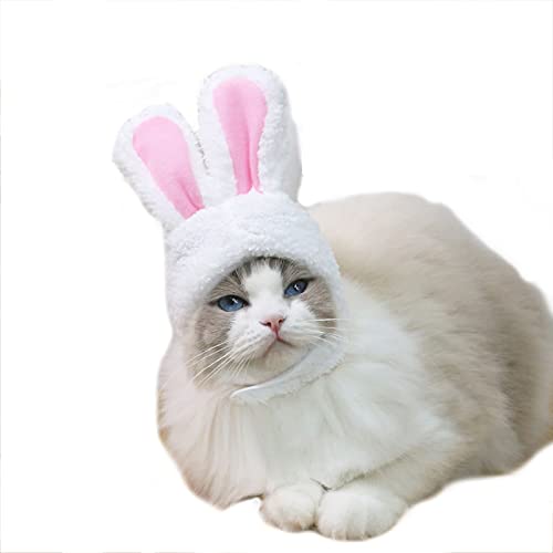 Haustier Hut, Katze Kopfbedeckung Kaninchen Ohr Stirnband Hund Hase Hut Halloween Party Cosplay Kostüm für Katzen Welpen kleine Hunde (weiß) von Mummumi