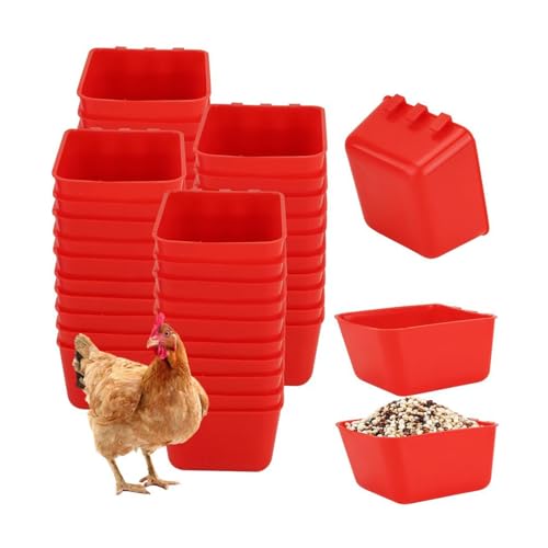 Mumusuki 10 Stcs Hühnerfutterbecher, Verdickter Kunststoff Großer Kapazität Hängende Futtermittelschalen Multi Zweck Fütterungsbehälter für Haustiertiere Geflügel Mumusuki 10 Stcs Hühnerfutterbecher, Verdickter Kunststoff Großer Kapazität Hängende Futtermittelschalen Multi Zweck Fütterungsbehälter für Haustiertiere Geflügel von Mumusuki