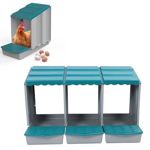 Mumusuki Hühnernistschachtel, Pp Modulares Design Komfortable Geräumige Nesterschachtel für Hühner Enten und Geflügelhähnchen -Eierwäsche für die Heimat Farm (3 Hohlraum) von Mumusuki