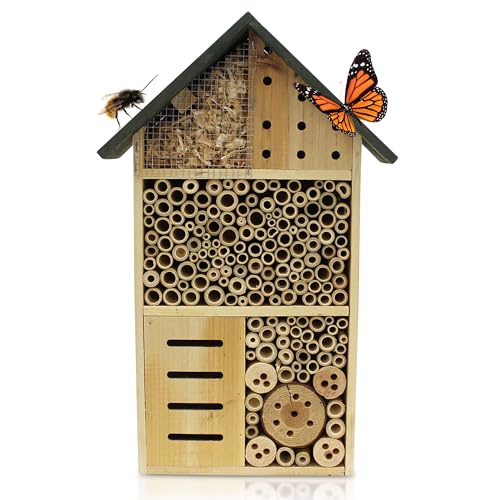 Muntel Insektenhotel - Naturbelassen & Wetterfest, Insektenhaus aus Naturholz für Bienen, Wildbienen, Marienkäfer,Bienenhotel, Nisthilfe zum Aufhängen, Holz, 10 x 30 x 50 cm Muntel Insektenhotel - Naturbelassen & Wetterfest, Insektenhaus aus Naturholz für Bienen, Wildbienen, Marienkäfer,Bienenhotel, Nisthilfe zum Aufhängen, Holz, 10 x 30 x 50 cm von Muntel