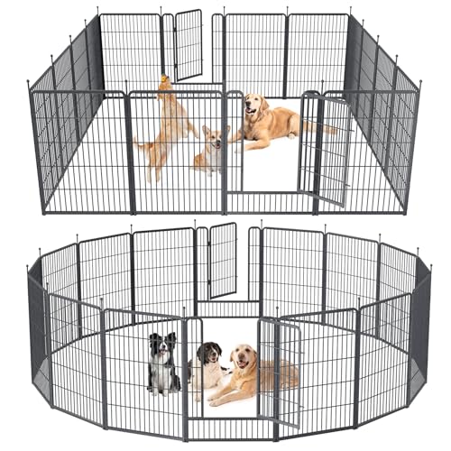 Musen Hunde-Laufstall für den Außenbereich, 16 Paneele, 101,6 cm Höhe, Hundezaun, Übungsstall mit Türen für große/mittelgroße/kleine Hunde, tragbarer Haustier-Laufstall für Hof, Wohnmobil, Camping, Musen Hunde-Laufstall für den Außenbereich, 16 Paneele, 101,6 cm Höhe, Hundezaun, Übungsstall mit Türen für große/mittelgroße/kleine Hunde, tragbarer Haustier-Laufstall für Hof, Wohnmobil, Camping, von Musen