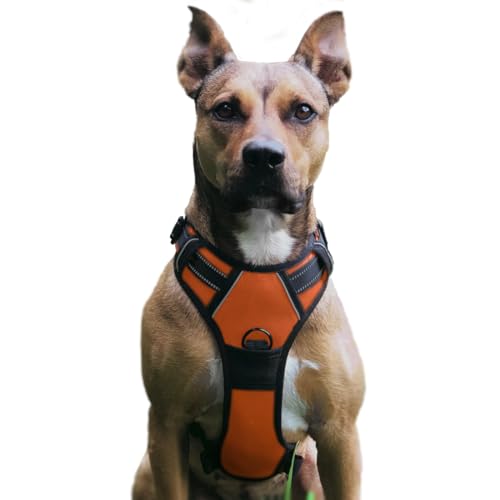 No Pull Hundegeschirr, Verstellbar Atmungsaktiv Reflektierend Weich Gepolstert Hunde Geschirr, Brustgeschirr für Hunde (Orange, M) von Musonic