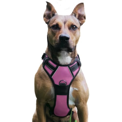 No Pull Hundegeschirr, Verstellbar Atmungsaktiv Reflektierend Weich Gepolstert Hunde Geschirr, Brustgeschirr für Hunde, Hundeleine inklusive (Rosa, S) von Musonic