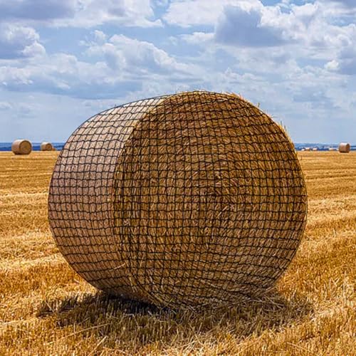 Musselton 152 x 152 cm großes rundes Ballen-Heunetz, 3,8 cm Löcher, stabiles Heunetz für Pferde, passend für Rundballen 4 x 4-5 x 5 oder quadratische Ballen 3 x 3 x 8 - 4 x 4 x 8 Musselton 152 x 152 cm großes rundes Ballen-Heunetz, 3,8 cm Löcher, stabiles Heunetz für Pferde, passend für Rundballen 4 x 4-5 x 5 oder quadratische Ballen 3 x 3 x 8 - 4 x 4 x 8 von Musselton