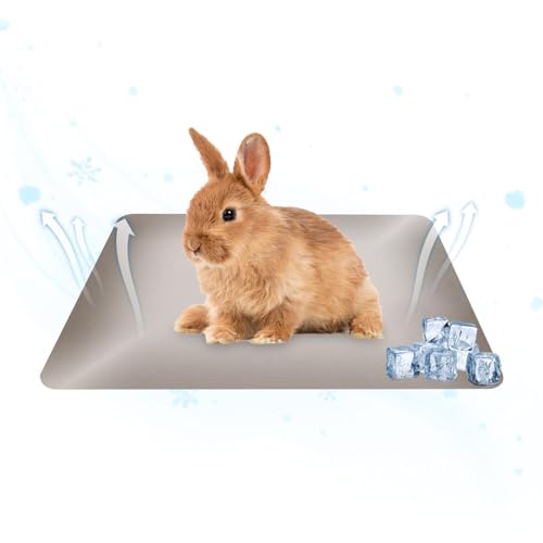 Muuzebsy Hamster-Kühlmatte, 49,8 x 30 cm, große wiederverwendbare Haustier-Kühlplatte – Wärmeableitungsplatte, Hamster-Kühlmatte für heißes Wetter, Komfort zu Hause Muuzebsy Hamster-Kühlmatte, 49,8 x 30 cm, große wiederverwendbare Haustier-Kühlplatte – Wärmeableitungsplatte, Hamster-Kühlmatte für heißes Wetter, Komfort zu Hause von Muuzebsy