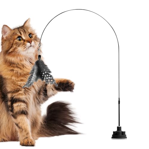 Muuzebsy Katzenfederstab, Katzenspielzeug mit Glocke, interaktives Kätzchen-Spielzeug, unzerstörbares Haustierzubehör mit Saugnapf für die Jagd im Innenbereich von Muuzebsy