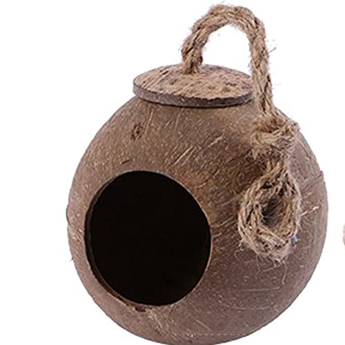 Vogelnest aus natürlicher Kokosnussschale, hängendes Vogelhaus für Haustiere, Papageien, Sittiche, Outdoor, Garten, Balkon, Dekoration Vogelnest aus natürlicher Kokosnussschale, hängendes Vogelhaus für Haustiere, Papageien, Sittiche, Outdoor, Garten, Balkon, Dekoration von Muzboo