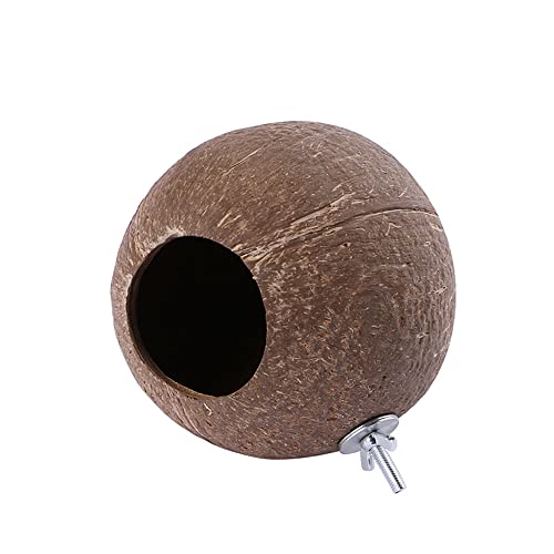Vogelnest aus natürlicher Kokosnussschale, hängendes Vogelhaus für Haustiere, Papageien, Sittiche, Outdoor, Garten, Balkon, Dekoration Vogelnest aus natürlicher Kokosnussschale, hängendes Vogelhaus für Haustiere, Papageien, Sittiche, Outdoor, Garten, Balkon, Dekoration von Muzboo