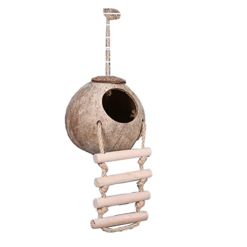 Vogelnest aus natürlicher Kokosnussschale, hängendes Vogelhaus für Haustiere, Papageien, Sittiche, Outdoor, Garten, Balkon, Dekoration Vogelnest aus natürlicher Kokosnussschale, hängendes Vogelhaus für Haustiere, Papageien, Sittiche, Outdoor, Garten, Balkon, Dekoration von Muzboo