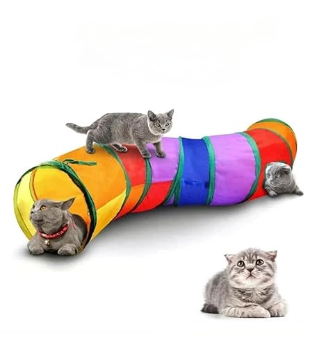 Muziner Buntes KatzentunnelrohrFaltbares KatzenspielzeugKitty-TrainingInteraktiver SpielzeugtunnelLangweilig Für WelpenKätzchenHeimtierbedarf,1 Muziner Buntes KatzentunnelrohrFaltbares KatzenspielzeugKitty-TrainingInteraktiver SpielzeugtunnelLangweilig Für WelpenKätzchenHeimtierbedarf,1 von Muziner