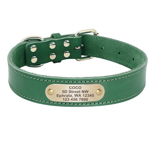 Großes Hundehalsband,Personalisierbar,Mittelgroße Und Große Hundehalsbänder,Individuelle Haustierhalsbänder Für Hunde,Mit Namensgravur,Grün,L von Muziner