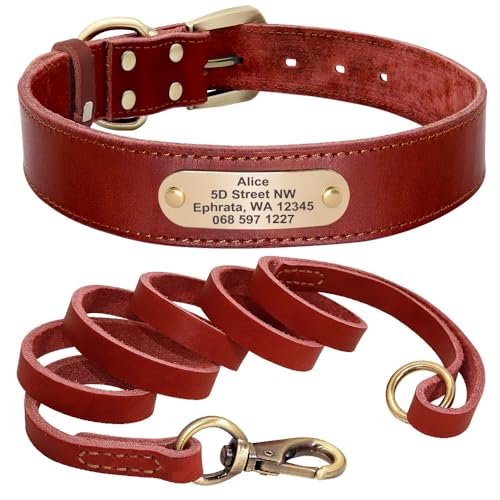 Hundehalsband-Leine-Set,Personalisierte Hundehalsbänder,Leinen,Individuell Für Kleine,Mittelgroße Und Große Hunde,Pitbull,rote Kragenleine,M Hundehalsband-Leine-Set,Personalisierte Hundehalsbänder,Leinen,Individuell Für Kleine,Mittelgroße Und Große Hunde,Pitbull,rote Kragenleine,M von Muziner
