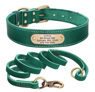 Hundehalsband-Set,Personalisierbar,Hundehalsbänder,Leinen,Individuell Für Kleine,Mittelgroße Und Große Hunde,Pitbull,Green,L Hundehalsband-Set,Personalisierbar,Hundehalsbänder,Leinen,Individuell Für Kleine,Mittelgroße Und Große Hunde,Pitbull,Green,L von Muziner
