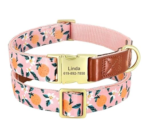 Individuell Graviertes Hundehalsband,Personalisiertes Nylon-Haustier-ID-Halsband,Blumendruck-Hundehalsband,Verstellbar Für Kleine Große Hunde,Orange,S 25–40 cm Individuell Graviertes Hundehalsband,Personalisiertes Nylon-Haustier-ID-Halsband,Blumendruck-Hundehalsband,Verstellbar Für Kleine Große Hunde,Orange,S 25–40 cm von Muziner