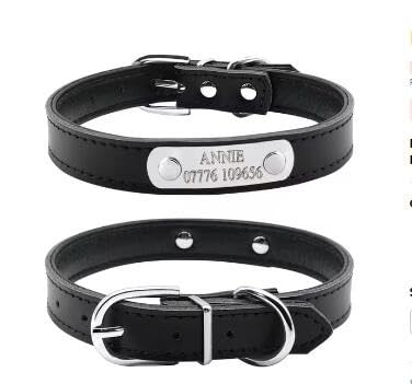Personalisierte Hundehalsbänder Mit Individueller Gravur des Namens Der Katze Und ID-Halsband Für Kleine Und Mittelgroße Hunde,Schwarz,XS Passt Für Einen Halsumfang Von 19 Bis 26 cm Personalisierte Hundehalsbänder Mit Individueller Gravur des Namens Der Katze Und ID-Halsband Für Kleine Und Mittelgroße Hunde,Schwarz,XS Passt Für Einen Halsumfang Von 19 Bis 26 cm von Muziner
