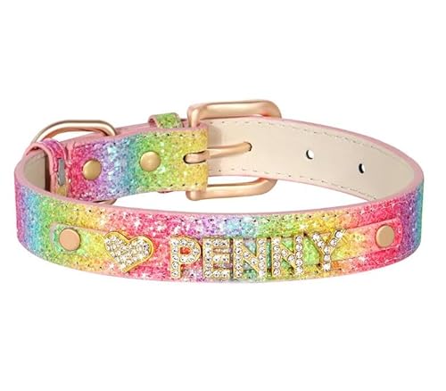 Personalisierte Hundehalsband-Halskette Mit Legierungsschnalle,Hunde- Und Katzennamenshalsbänder Mit Gravur Für Kleine Und Große Hunde,Regenbogen,20-25cm Personalisierte Hundehalsband-Halskette Mit Legierungsschnalle,Hunde- Und Katzennamenshalsbänder Mit Gravur Für Kleine Und Große Hunde,Regenbogen,20-25cm von Muziner