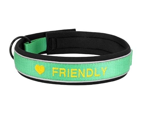 Personalisierte Nylon-Hundehalsband-ID-Namenszubehör Reflektierende Haustier-Welpenhalsbänder Für Kleine,Mittelgroße Und Große Hunde Perros,Grün,M von Muziner
