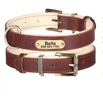 Personalisiertes,Individuelles Hundehalsband,Weich Gepolstertes Haustierhalsband Mit Graviertem Namensschild Für Mittelgroße Und Große Hunde,Labrador,Brown,M Personalisiertes,Individuelles Hundehalsband,Weich Gepolstertes Haustierhalsband Mit Graviertem Namensschild Für Mittelgroße Und Große Hunde,Labrador,Brown,M von Muziner