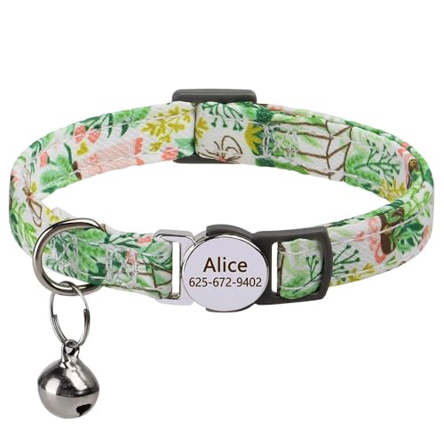 Personalisiertes Bedrucktes Katzenhalsband,Verstellbare Kätzchen-Welpenhalsbänder Mit Eingraviertem ID-Namensschild,Glocke,Anti-Verlust-Katzenhalsbänder,Grün,S (20–30cm) von Muziner