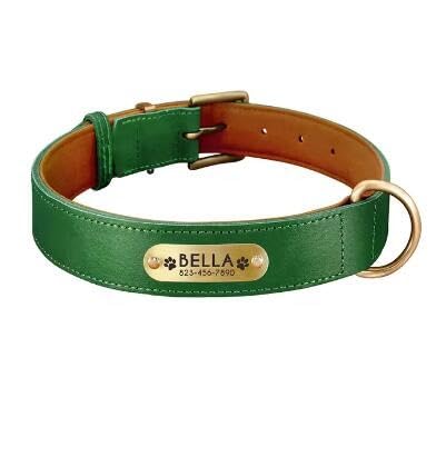 Personalisiertes Hundehalsband,Hunde-ID-Halsbänder,Graviertes Namensschild Für Kleine,Mittelgroße Und Große Hunde,Pitbull-Pfotenabdruck,Green,L 35-45cm Personalisiertes Hundehalsband,Hunde-ID-Halsbänder,Graviertes Namensschild Für Kleine,Mittelgroße Und Große Hunde,Pitbull-Pfotenabdruck,Green,L 35-45cm von Muziner
