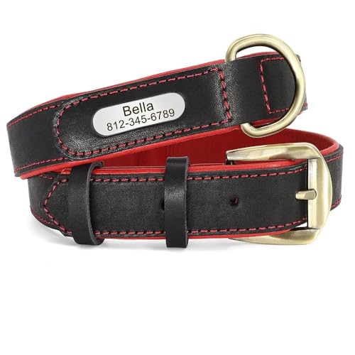 Personalisiertes Hundehalsband,Hunde-ID-Tag,Halsbänder,Namensschild,Verstellbar,Für Mittelgroße Und Große Hunde,Pitbull,Schwarz,M Personalisiertes Hundehalsband,Hunde-ID-Tag,Halsbänder,Namensschild,Verstellbar,Für Mittelgroße Und Große Hunde,Pitbull,Schwarz,M von Muziner