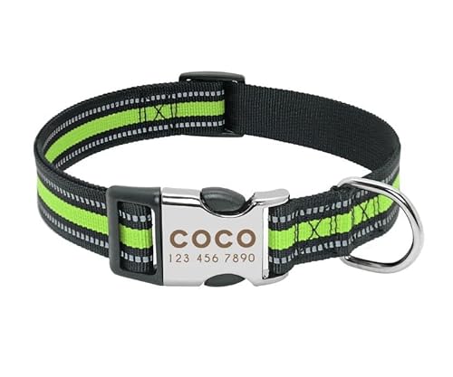 Personalisiertes Hundehalsband Aus Nylon,Haustier-ID-Tag-Halsbänder,Verstellbare Haustier-Halskette Für Kleine,Mittelgroße Und Große Hunde Mit Gravur,Grün,S Personalisiertes Hundehalsband Aus Nylon,Haustier-ID-Tag-Halsbänder,Verstellbare Haustier-Halskette Für Kleine,Mittelgroße Und Große Hunde Mit Gravur,Grün,S von Muziner