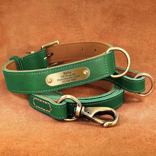 Personalisiertes Hundehalsband-Leine-Set,Individuelle Hundehalsbänder Mit Graviertem Namensschild Für Kleine,Mittelgroße Und Große Hunde,Pitbull,Grünes Set,L Personalisiertes Hundehalsband-Leine-Set,Individuelle Hundehalsbänder Mit Graviertem Namensschild Für Kleine,Mittelgroße Und Große Hunde,Pitbull,Grünes Set,L von Muziner