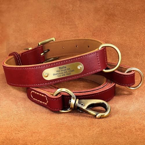 Personalisiertes Hundehalsband-Leine-Set,Individuelle Hundehalsbänder Mit Graviertem Namensschild Für Kleine,Mittelgroße Und Große Hunde,Pitbull,Rotes Set,L Personalisiertes Hundehalsband-Leine-Set,Individuelle Hundehalsbänder Mit Graviertem Namensschild Für Kleine,Mittelgroße Und Große Hunde,Pitbull,Rotes Set,L von Muziner