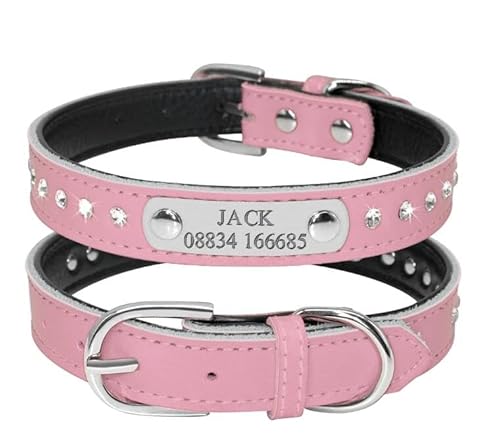 Personalisiertes Hundehalsband Mit Gravur Für Hunde,Welpenhalsband,Individuelles Katzenhalsband Für Kleine Hunde,Chihuahua,Yorkies,Rosa,Rosa,M von Muziner