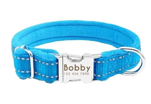 Personalisiertes Hundehalsband Mit Perro-Motiv,Gepolstertes Nylon-Halsband Für Welpen,Pitbull,Individuelle Gravur Für Kleine,Mittelgroße Und Große Hunde,Bulldogge,Mops,Blau,S von Muziner