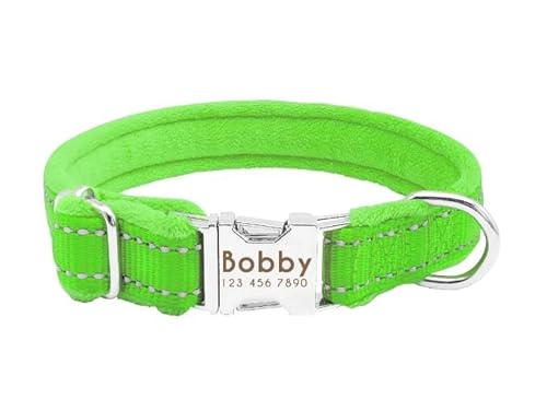 Personalisiertes Hundehalsband Mit Perro-Motiv,Gepolstertes Nylon-Halsband Für Welpen,Pitbull,Individuelle Gravur Für Kleine,Mittelgroße Und Große Hunde,Bulldogge,Mops,Green,S von Muziner