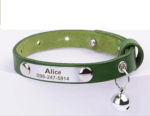 Personalisiertes Katzenhalsband,Verstellbare Haustier-Katzenhalsbänder,Halskette,Individuelles Welpen-Kätzchen-Namenshalsband,Anti-Verlust-Katzenzubehör,Grün,15-23cm von Muziner