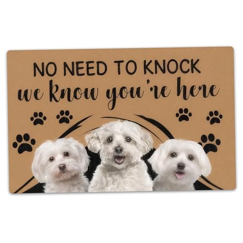 Haustürmatte, 16x24 West Highland White Terrier Muster Türmatte ohne nötig zu klopfen Ich weiß, DASS Sie Hier personalisierte Fußmatte für zu Hause sind von Muzrunq