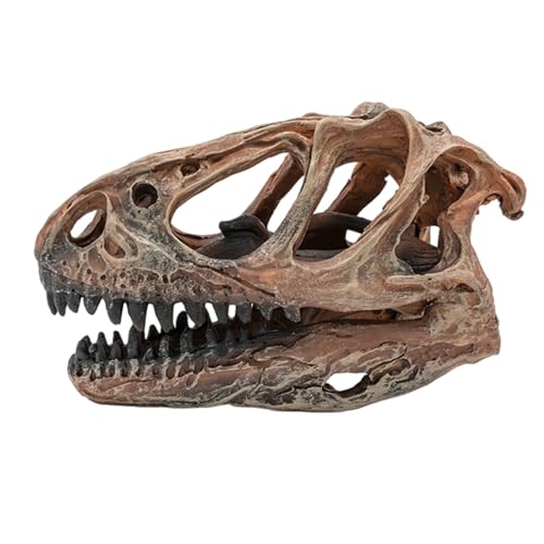 Muzrunq Aquarium-Versteck aus Kunstharz mit Dinosaurierknochen, 13 x 8, 9 x 5, 6 cm, Aquarium-Höhle für Terrarien, Ornamente, Dekorationen, Versteck aus Dinosaurierknochen Muzrunq Aquarium-Versteck aus Kunstharz mit Dinosaurierknochen, 13 x 8, 9 x 5, 6 cm, Aquarium-Höhle für Terrarien, Ornamente, Dekorationen, Versteck aus Dinosaurierknochen von Muzrunq