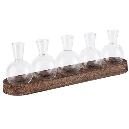 Propagationsstation 5pcs Terrarium Glas Pflanze Terrarium Desktop Clear Glass Vase mit Holzständer Innenhydroponik -Glühbirnen -Vase Hyacinth Bulb Vase, Terrarium Kit Propagationsstation 5pcs Terrarium Glas Pflanze Terrarium Desktop Clear Glass Vase mit Holzständer Innenhydroponik -Glühbirnen -Vase Hyacinth Bulb Vase, Terrarium Kit von Muzrunq