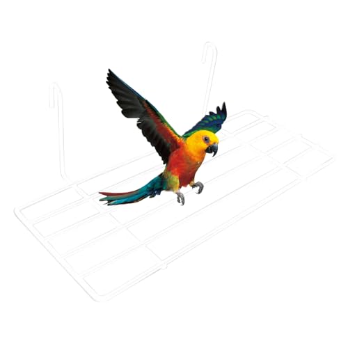Vogelperches Eisenrahmen Hanging Plattenraster Parrot Barch rostbricht von Muzrunq