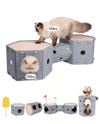CAT House CAT Schloss 1+1 CAT House CAT Schloss 1+1 von Muzzique