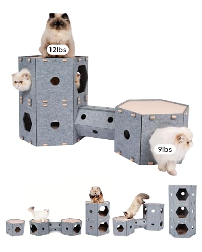 CAT House CAT Schloss 2+1 CAT House CAT Schloss 2+1 von Muzzique