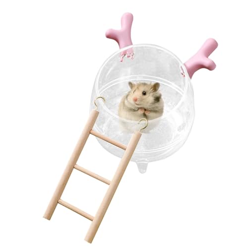 Mwkbbn Sandbadewanne für Hamster, Hamster-Badesand, Badewannenauslauf und Griff, Haustier-Sandbad, Sandbadschale, Tier-Lebensraum-Dekoration, Kleintiere, Käfigzubehör für Igel, Lemminge Mwkbbn Sandbadewanne für Hamster, Hamster-Badesand, Badewannenauslauf und Griff, Haustier-Sandbad, Sandbadschale, Tier-Lebensraum-Dekoration, Kleintiere, Käfigzubehör für Igel, Lemminge von Mwkbbn