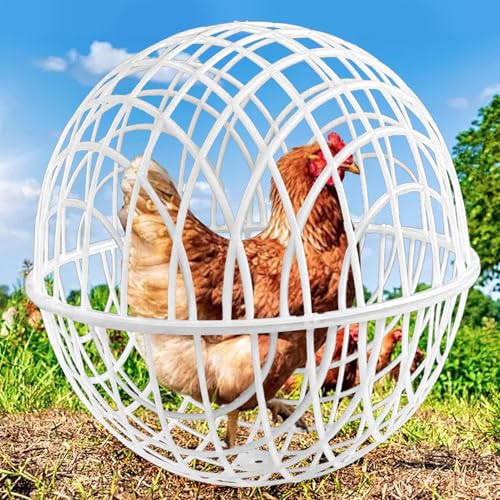 3 Stück Hühnerballkäfig, Runder Hühnerstall, Mobiler Übungskugel Für Hühner, Abnehmbarer Hühnerkäfig Aus Kunststoff In Kugelform, Kugelförmiger Hühnerkäfig Freie Zucht, Kugelförmiges Sicheres Laufnetz von Mwqpgyh