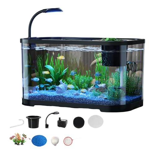 Mwqpgyh 30x20x19cm Aquarium Starter Kits, Betta Fischtank, Goldfisch Aquarium Einsteigerset, Kleines Betta Fisch Aquarium, Tischaquarien Für Für Schildkröten, Haushalt Klarsicht Aquarium Mwqpgyh 30x20x19cm Aquarium Starter Kits, Betta Fischtank, Goldfisch Aquarium Einsteigerset, Kleines Betta Fisch Aquarium, Tischaquarien Für Für Schildkröten, Haushalt Klarsicht Aquarium von Mwqpgyh