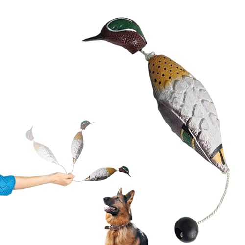Mwqpgyh Schwimmender Apportierdummy Für Hunde Zur Wasserarbeit,Enten-Wildvogel Jagdspielzeug Apportierdummy - Schwimmende Lockattrappen Geflügeltrainer Interaktives Haustierzubehör Für Große Mwqpgyh Schwimmender Apportierdummy Für Hunde Zur Wasserarbeit,Enten-Wildvogel Jagdspielzeug Apportierdummy - Schwimmende Lockattrappen Geflügeltrainer Interaktives Haustierzubehör Für Große von Mwqpgyh