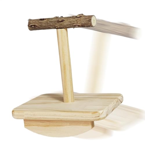 Vogelsitzstange, 14 x 10 x 15,5 cm, Vogelschaukel, natürliches -Design, lustiges Vogelsitz-Ständer, Vogelspielzeug, tragbares Design für Aktivitäten mit Haustieren von Mwqpgyh
